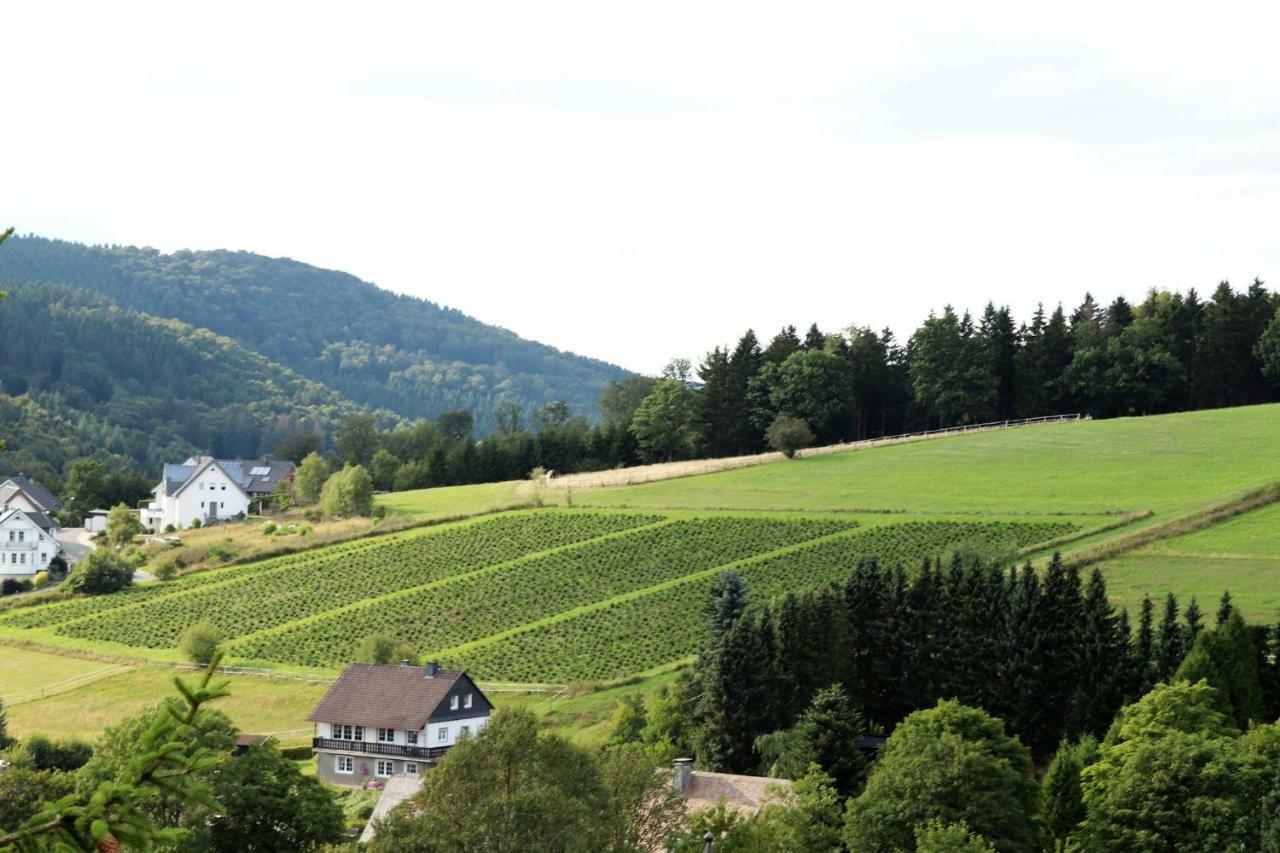 Gretel Von Birne Hotel Winterberg Luaran gambar